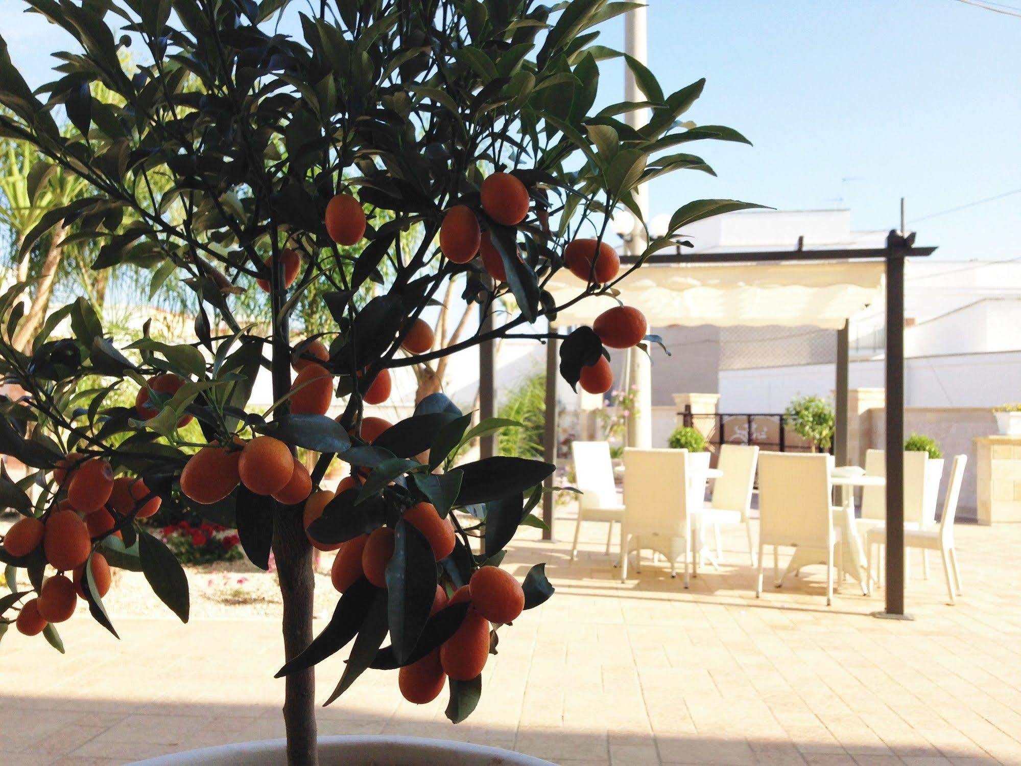Hotel Villa Leuzzi Salice Salentino Kültér fotó